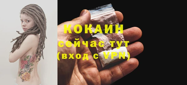 mdpv Козловка